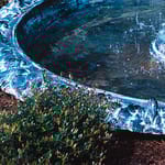 View Frog and Turtle Basin